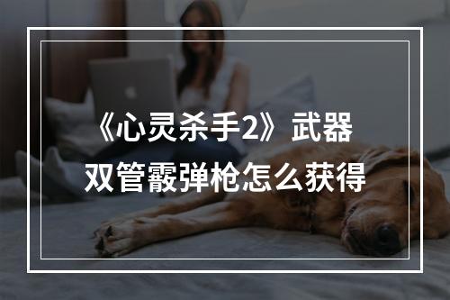 《心灵杀手2》武器双管霰弹枪怎么获得