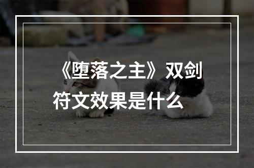 《堕落之主》双剑符文效果是什么