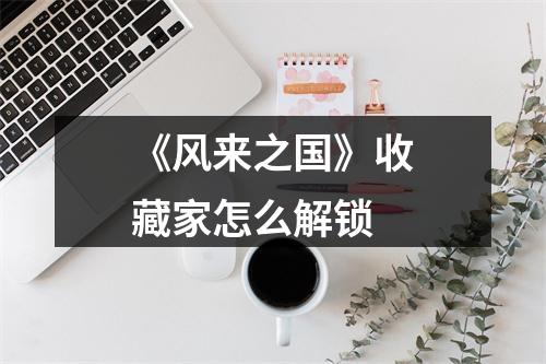 《风来之国》收藏家怎么解锁