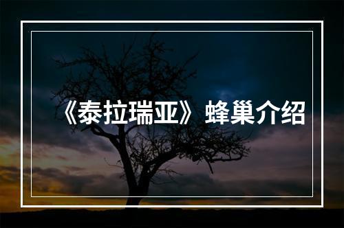 《泰拉瑞亚》蜂巢介绍