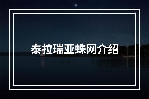 泰拉瑞亚蛛网介绍