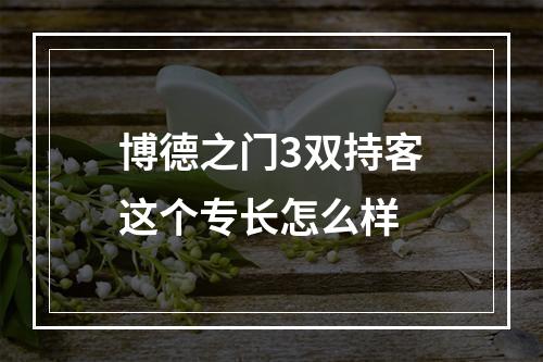 博德之门3双持客这个专长怎么样