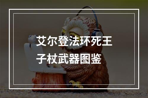 艾尔登法环死王子杖武器图鉴