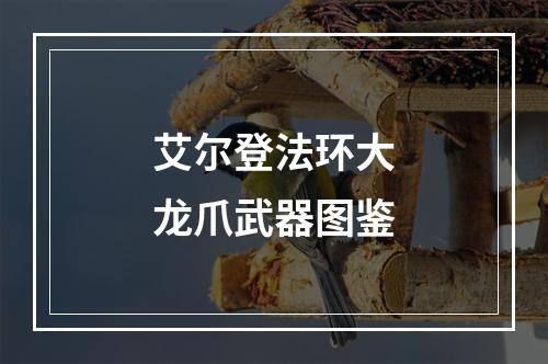 艾尔登法环大龙爪武器图鉴