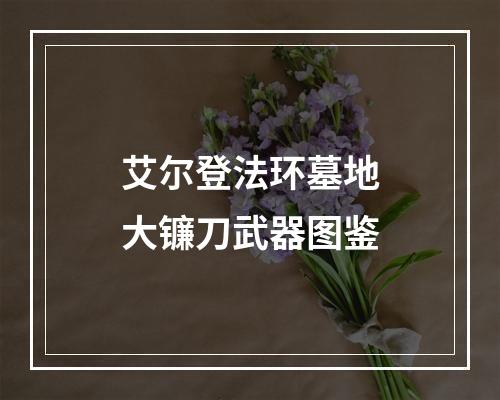 艾尔登法环墓地大镰刀武器图鉴