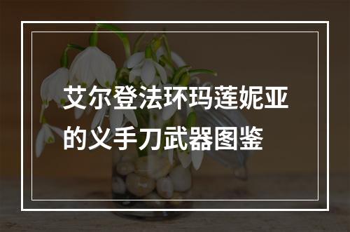 艾尔登法环玛莲妮亚的义手刀武器图鉴