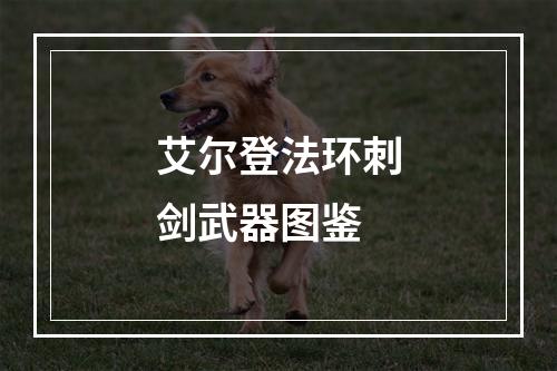 艾尔登法环刺剑武器图鉴