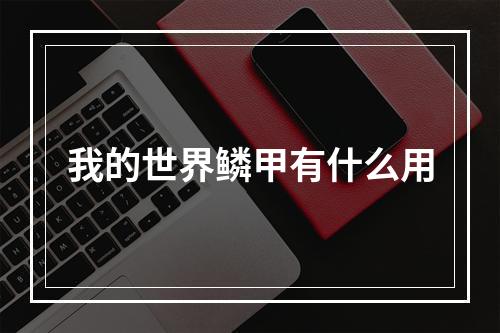 我的世界鳞甲有什么用