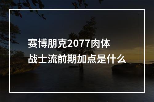 赛博朋克2077肉体战士流前期加点是什么