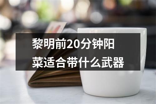 黎明前20分钟阳菜适合带什么武器