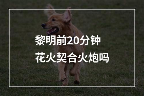 黎明前20分钟花火契合火炮吗