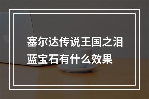 塞尔达传说王国之泪蓝宝石有什么效果