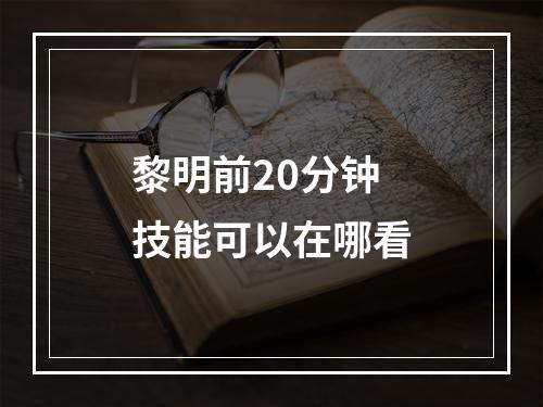 黎明前20分钟技能可以在哪看