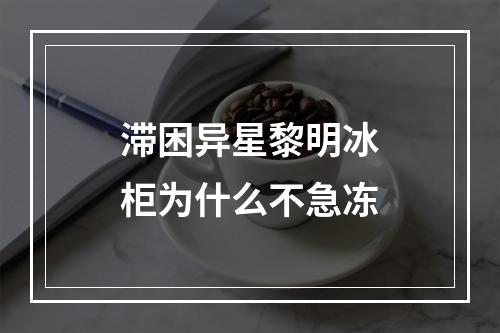 滞困异星黎明冰柜为什么不急冻