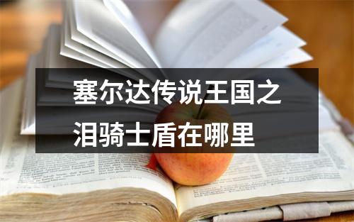 塞尔达传说王国之泪骑士盾在哪里