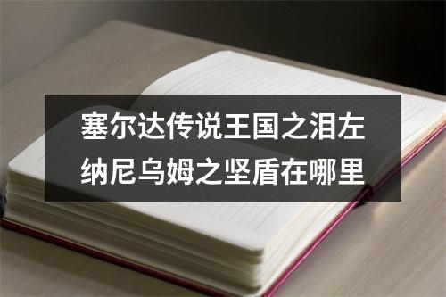 塞尔达传说王国之泪左纳尼乌姆之坚盾在哪里