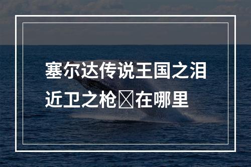 塞尔达传说王国之泪近卫之枪✨在哪里