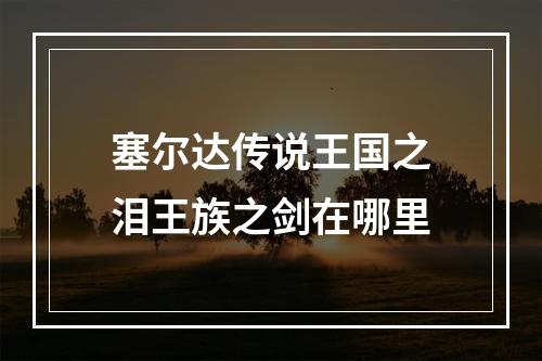 塞尔达传说王国之泪王族之剑在哪里