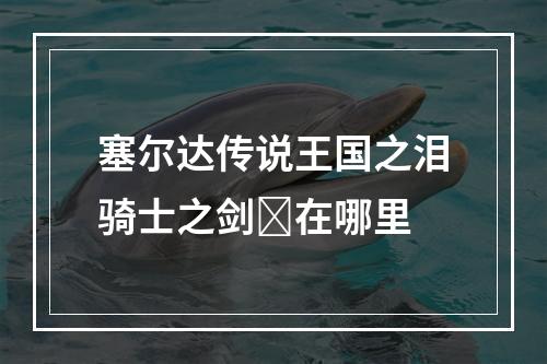 塞尔达传说王国之泪骑士之剑✨在哪里