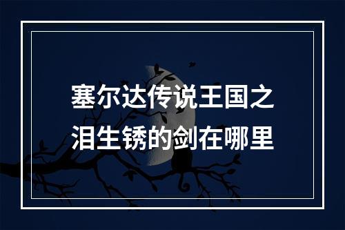 塞尔达传说王国之泪生锈的剑在哪里