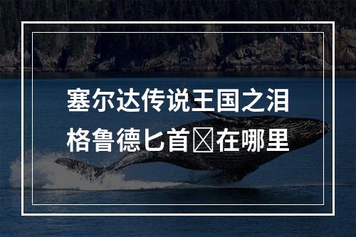 塞尔达传说王国之泪格鲁德匕首✨在哪里