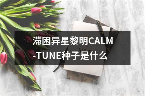 滞困异星黎明CALM-TUNE种子是什么