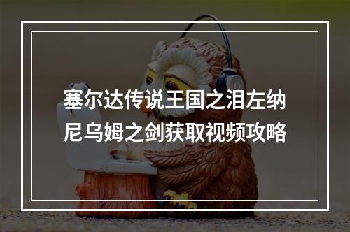 塞尔达传说王国之泪左纳尼乌姆之剑获取视频攻略