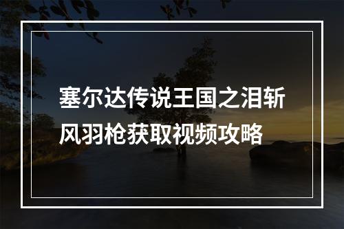 塞尔达传说王国之泪斩风羽枪获取视频攻略