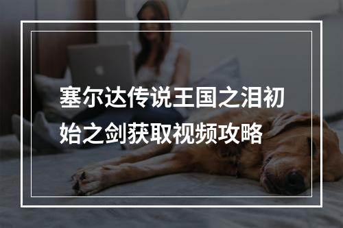 塞尔达传说王国之泪初始之剑获取视频攻略