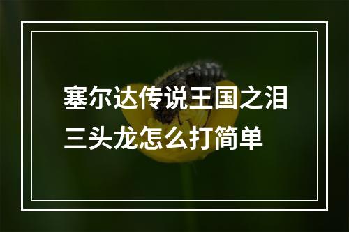 塞尔达传说王国之泪三头龙怎么打简单