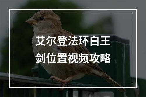 艾尔登法环白王剑位置视频攻略