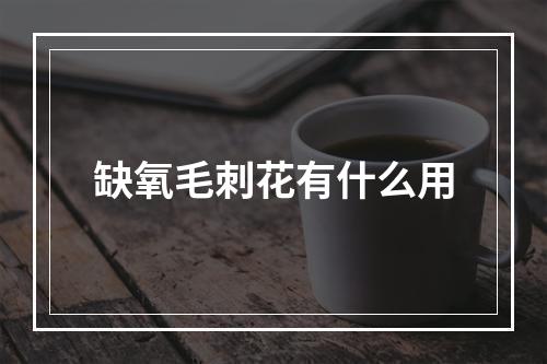 缺氧毛刺花有什么用