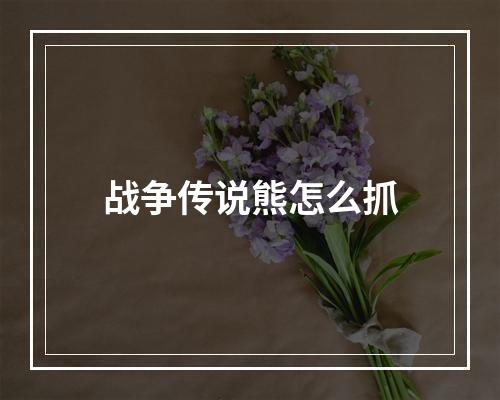 战争传说熊怎么抓