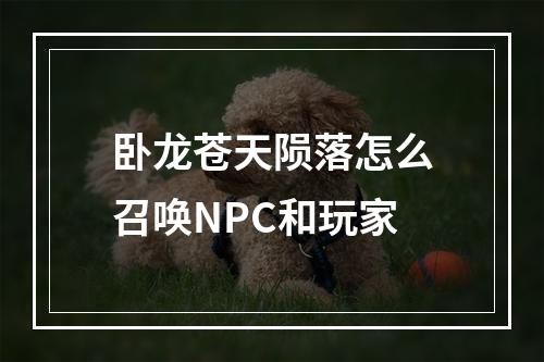 卧龙苍天陨落怎么召唤NPC和玩家