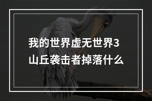 我的世界虚无世界3山丘袭击者掉落什么