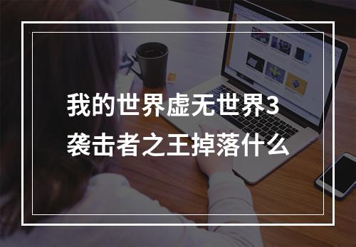 我的世界虚无世界3袭击者之王掉落什么