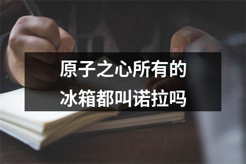 原子之心所有的冰箱都叫诺拉吗