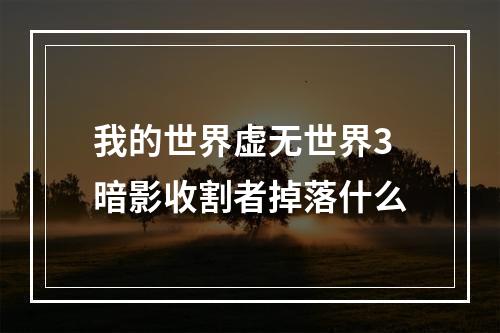 我的世界虚无世界3暗影收割者掉落什么