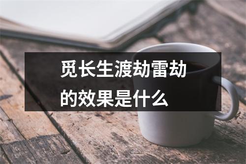 觅长生渡劫雷劫的效果是什么