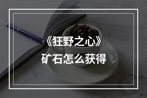 《狂野之心》矿石怎么获得