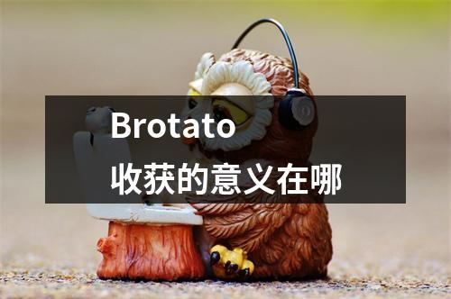 Brotato收获的意义在哪