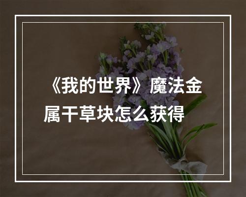 《我的世界》魔法金属干草块怎么获得