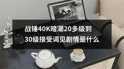 战锤40K暗潮20多级到30级接受谒见剧情是什么