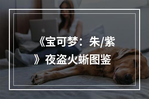 《宝可梦：朱/紫》夜盗火蜥图鉴