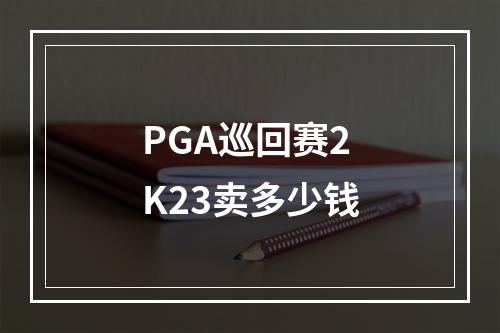 PGA巡回赛2K23卖多少钱