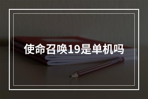 使命召唤19是单机吗