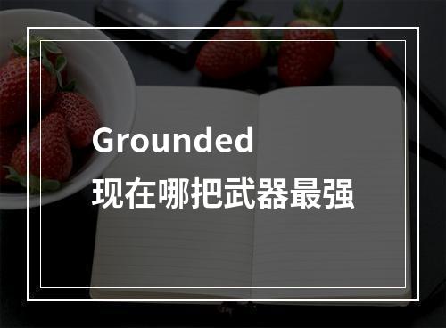 Grounded现在哪把武器最强