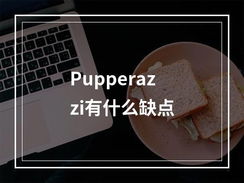 Pupperazzi有什么缺点