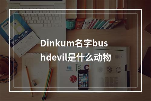 Dinkum名字bushdevil是什么动物