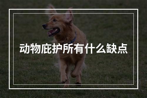 动物庇护所有什么缺点